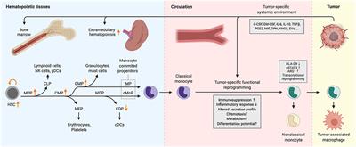 Systemic Reprogramming of Monocytes in Cancer